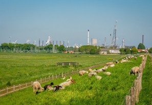 afbeelding binnen de regeling