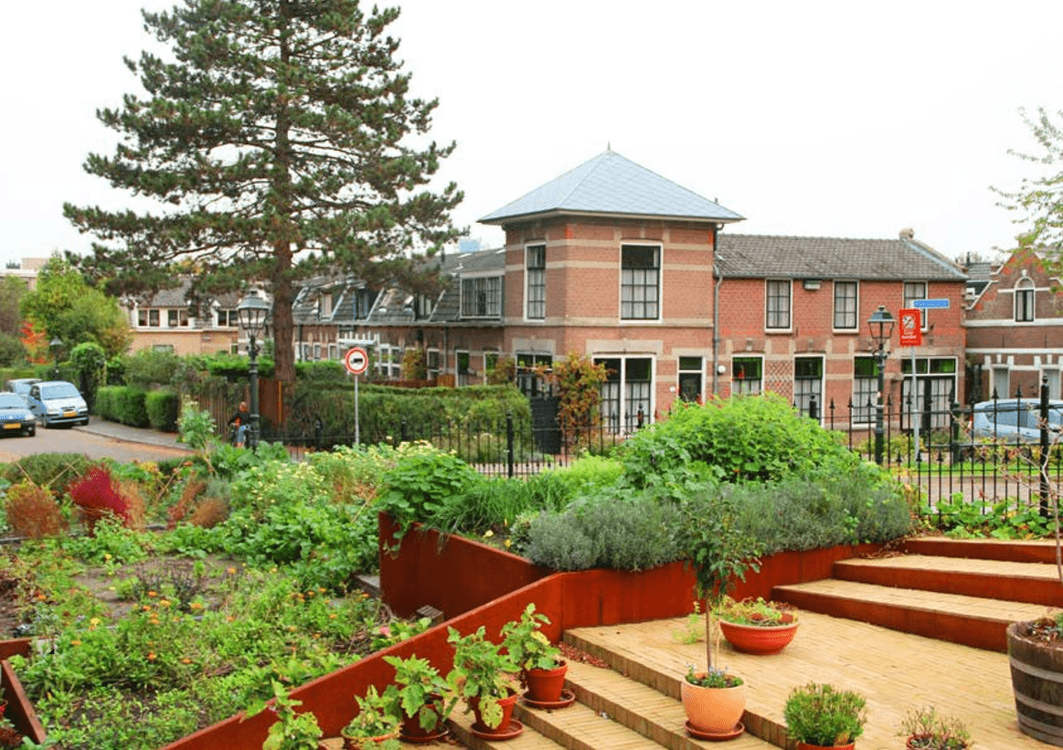 afbeelding binnen de regeling