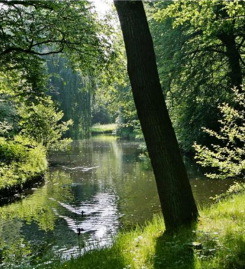 afbeelding binnen de regeling