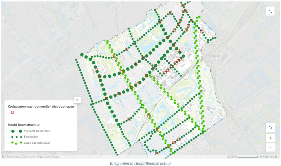 afbeelding binnen de regeling