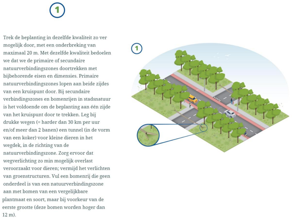 afbeelding binnen de regeling