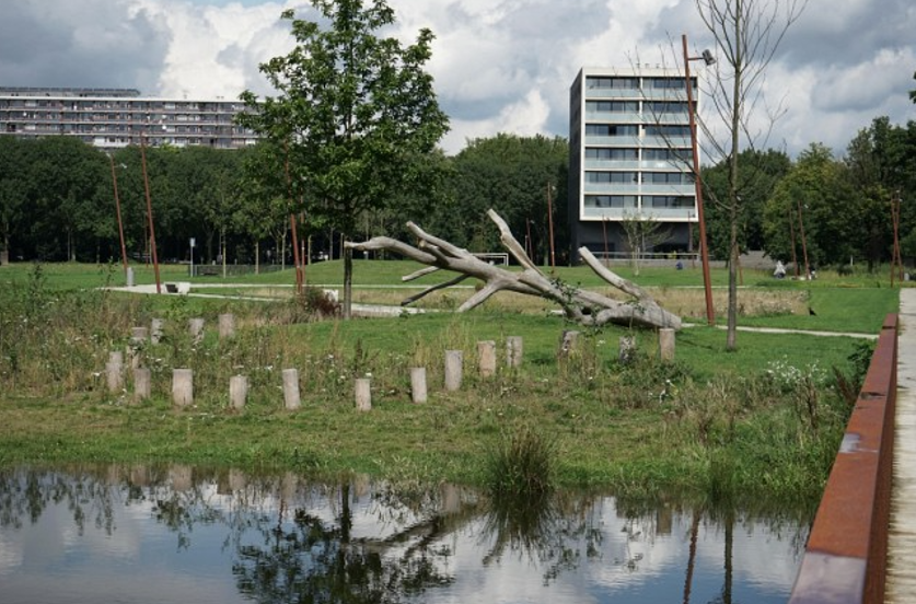 afbeelding binnen de regeling