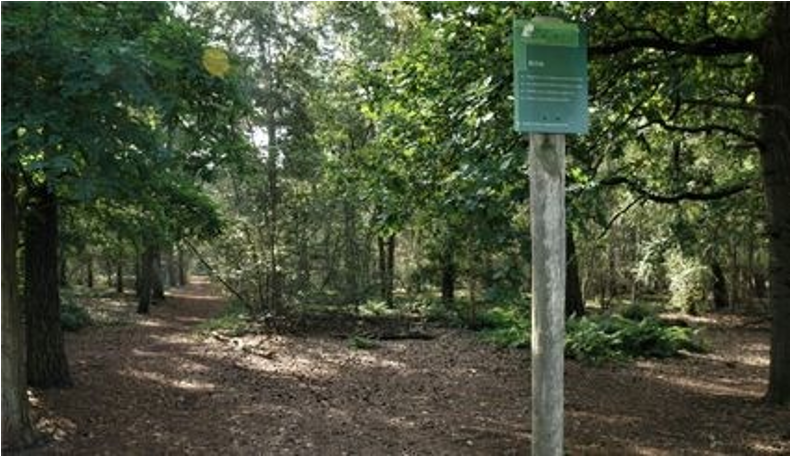 afbeelding binnen de regeling