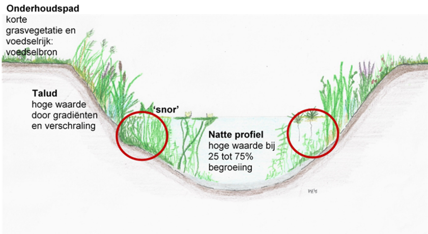 afbeelding binnen de regeling