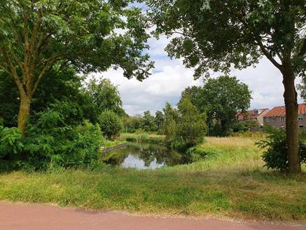 afbeelding binnen de regeling