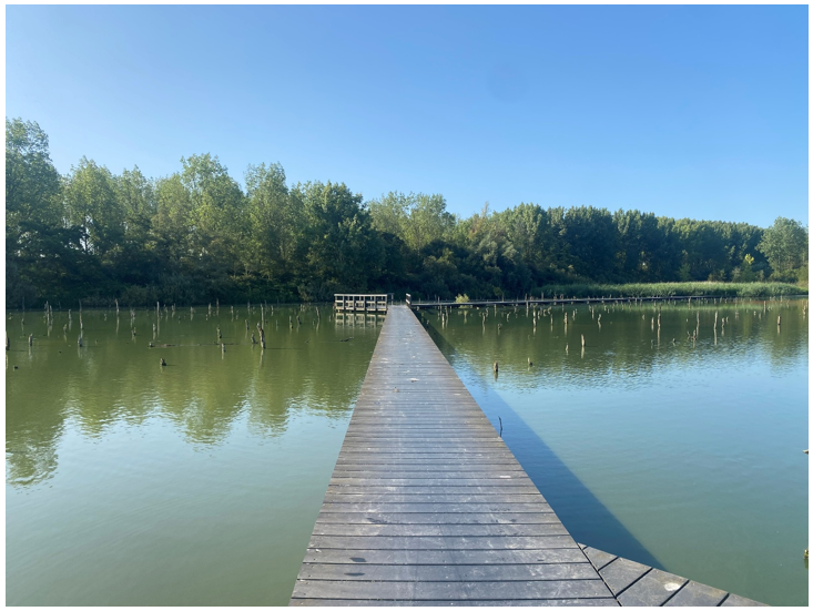 afbeelding binnen de regeling