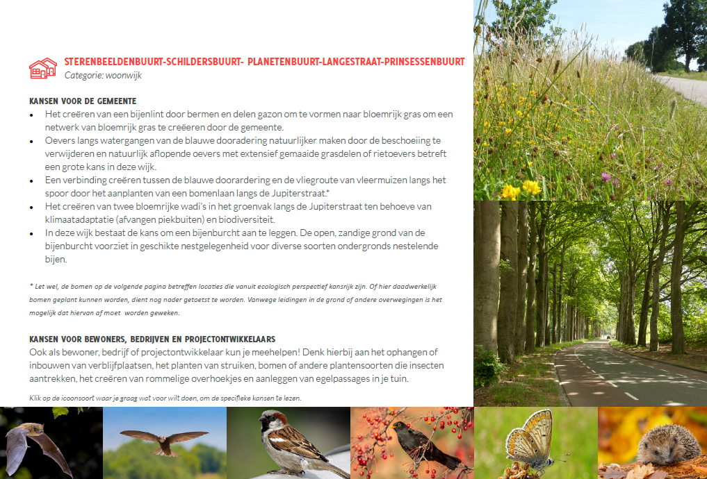 afbeelding binnen de regeling