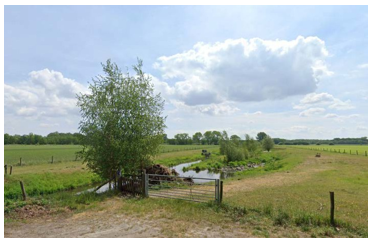 afbeelding binnen de regeling