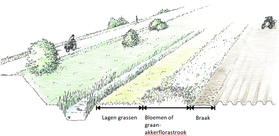 afbeelding binnen de regeling