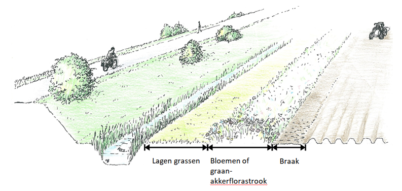 afbeelding binnen de regeling