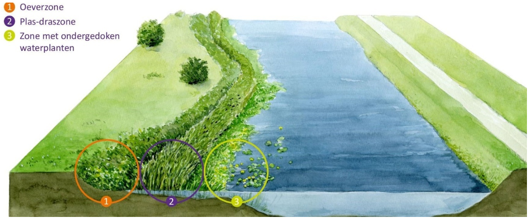 afbeelding binnen de regeling