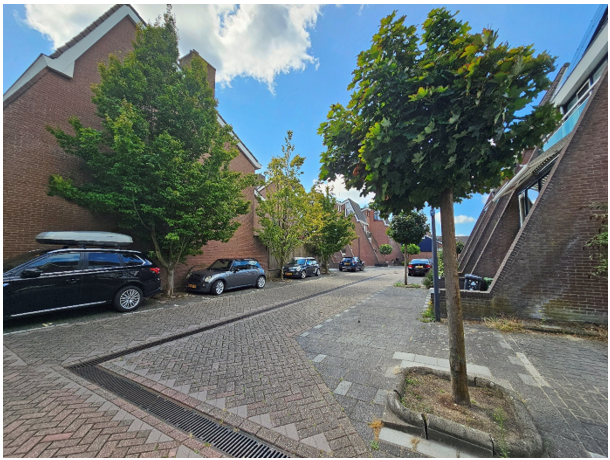 afbeelding binnen de regeling