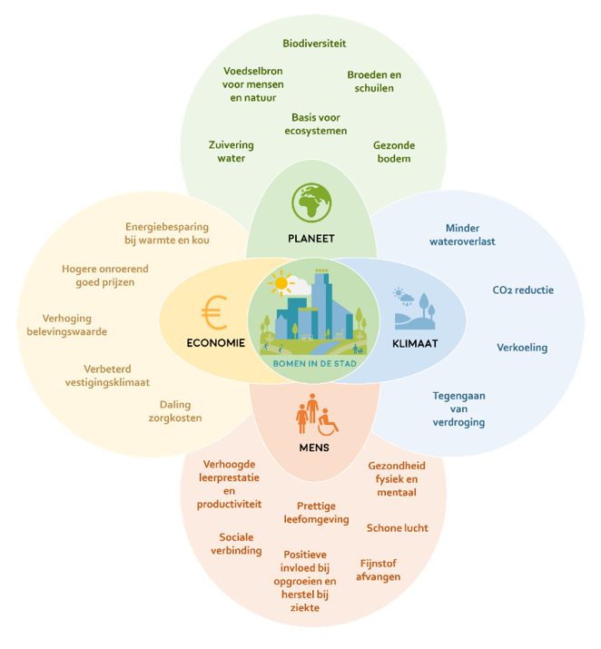 afbeelding binnen de regeling