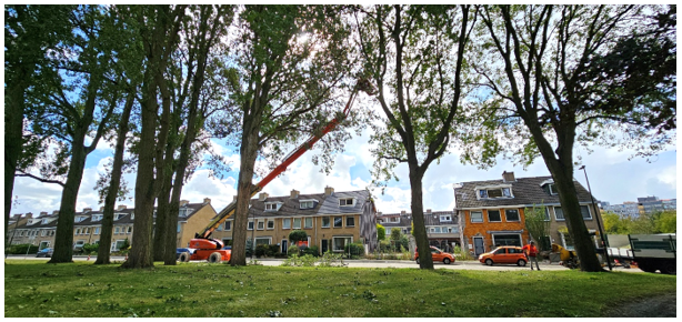 afbeelding binnen de regeling