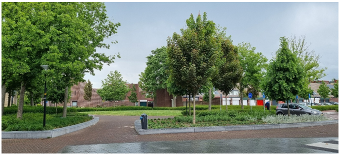 afbeelding binnen de regeling