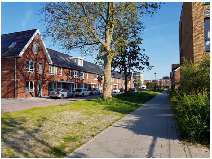 afbeelding binnen de regeling