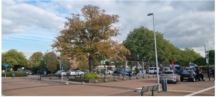 afbeelding binnen de regeling