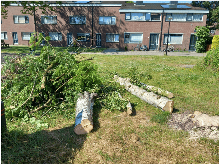 afbeelding binnen de regeling