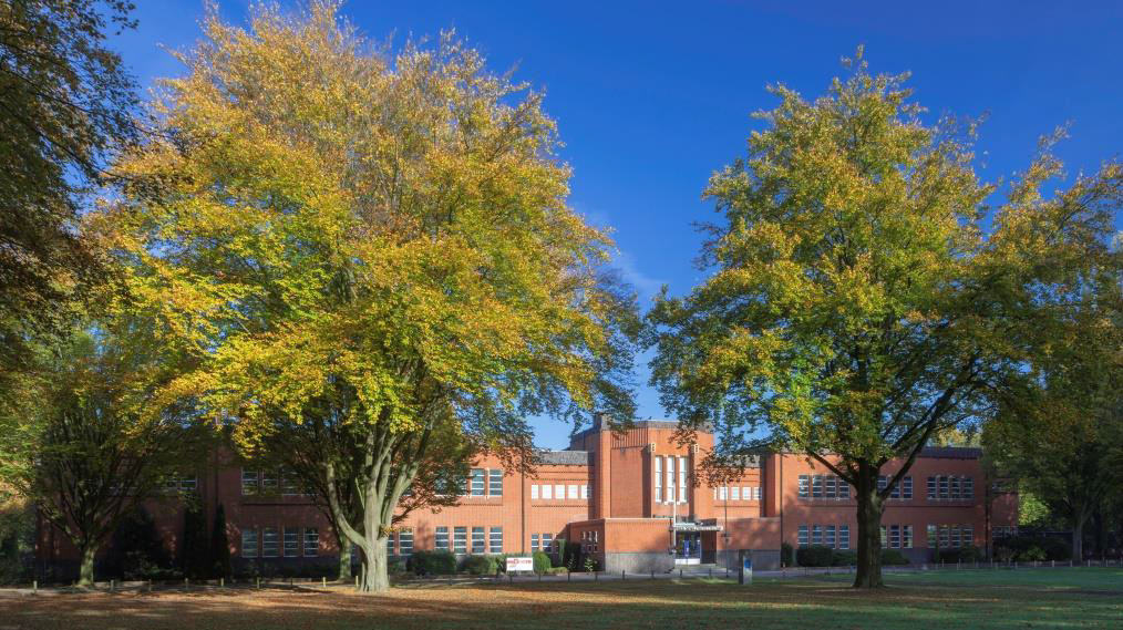 afbeelding binnen de regeling