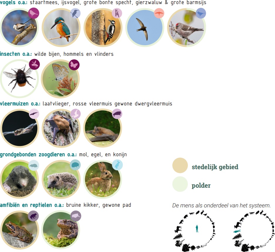 afbeelding binnen de regeling
