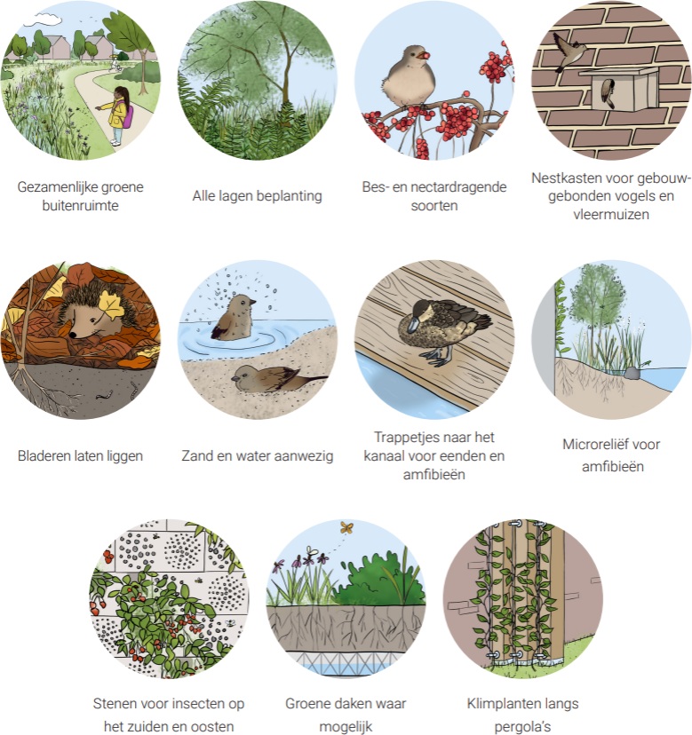 afbeelding binnen de regeling