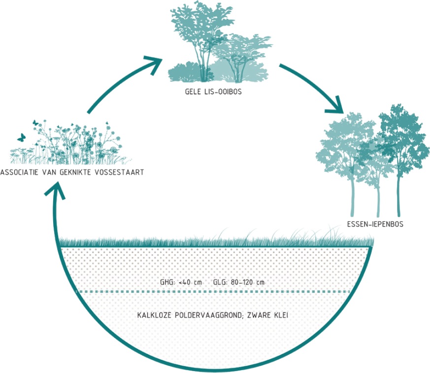 afbeelding binnen de regeling