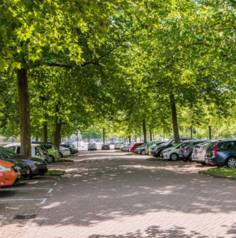 afbeelding binnen de regeling