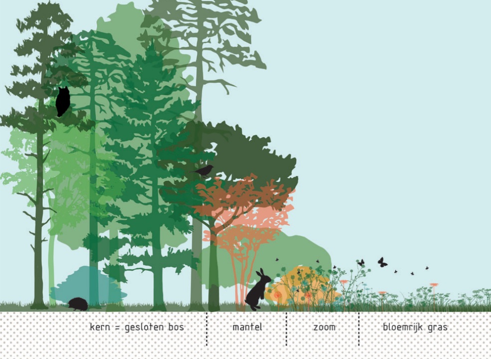 afbeelding binnen de regeling