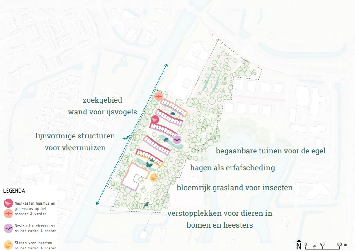 afbeelding binnen de regeling