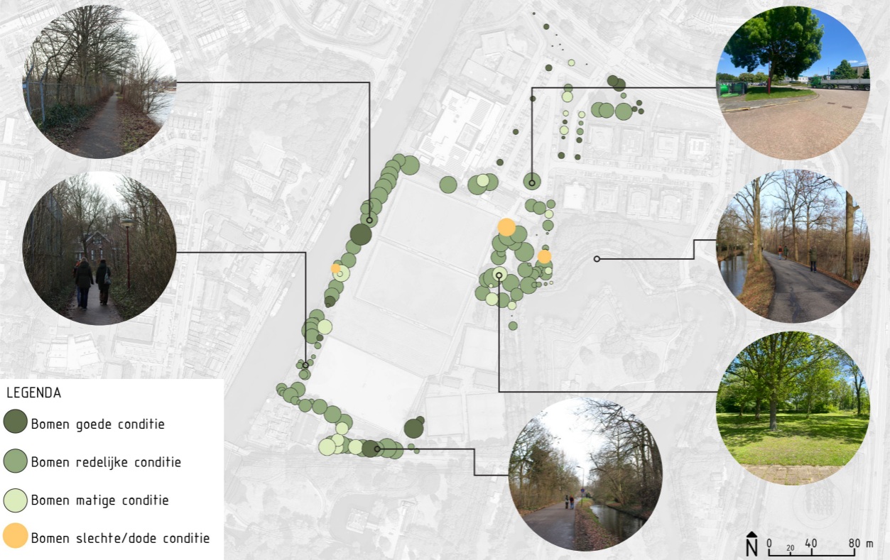 afbeelding binnen de regeling