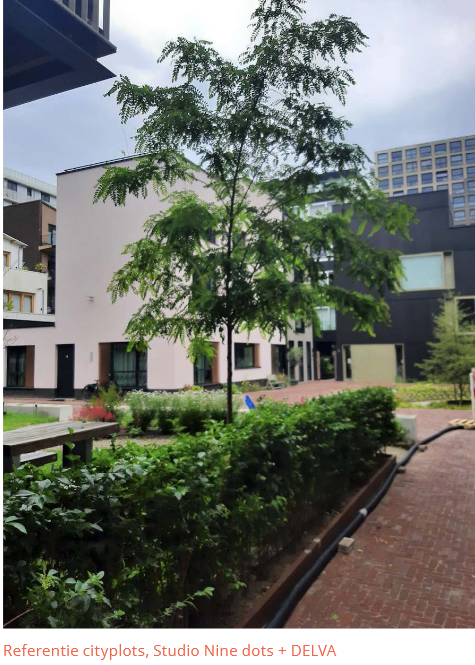 afbeelding binnen de regeling