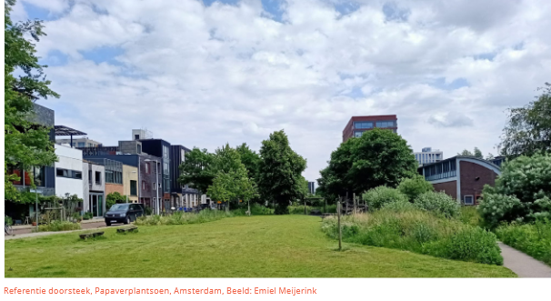 afbeelding binnen de regeling