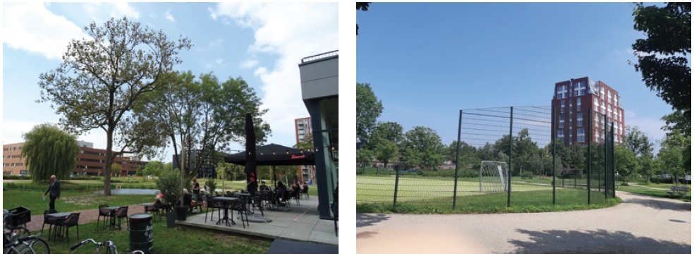 afbeelding binnen de regeling