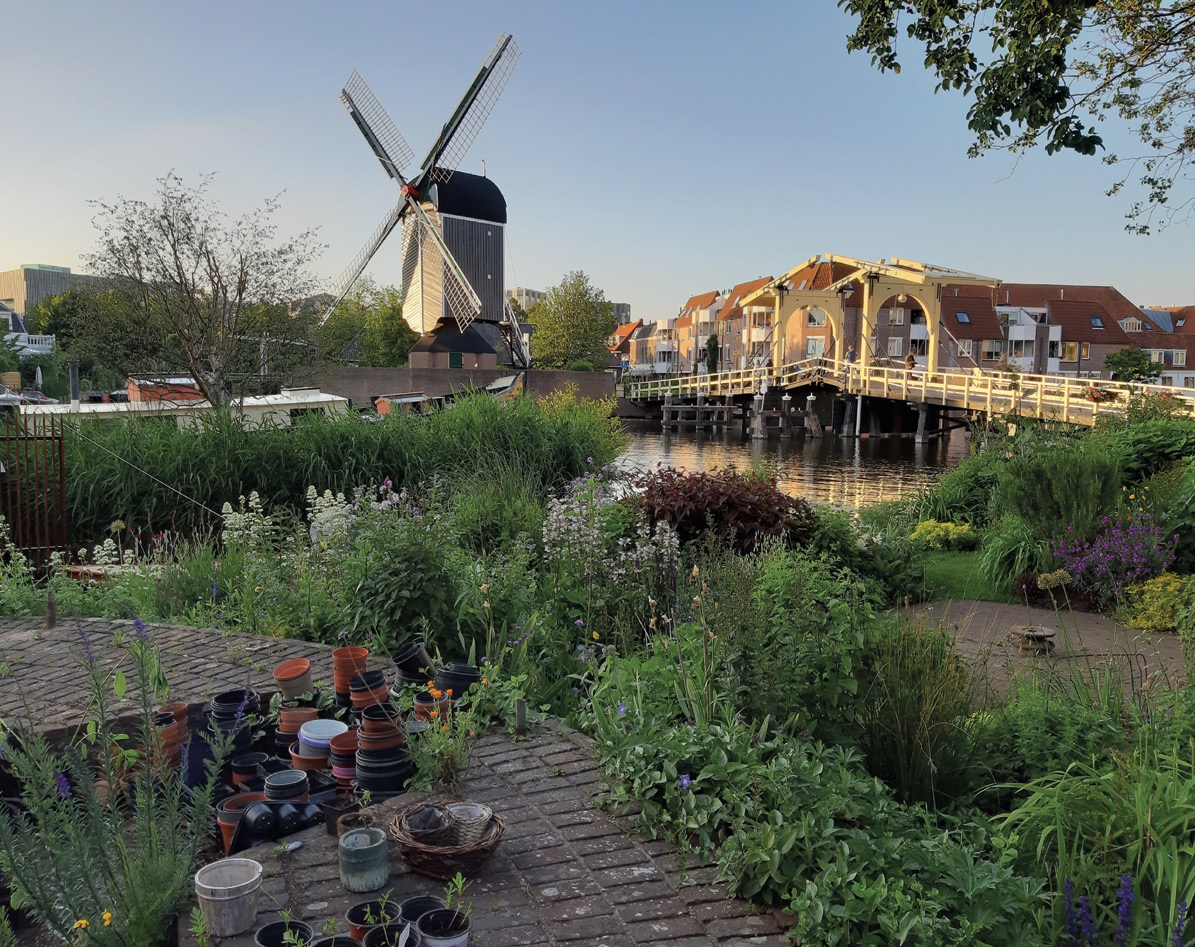 afbeelding binnen de regeling