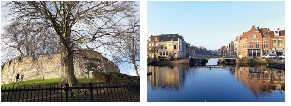 afbeelding binnen de regeling