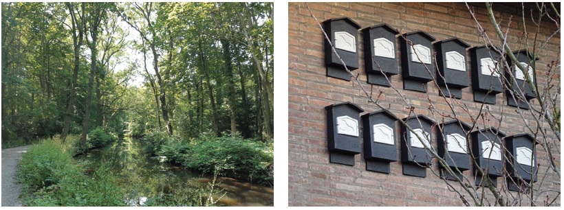 afbeelding binnen de regeling