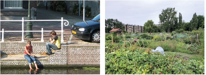 afbeelding binnen de regeling