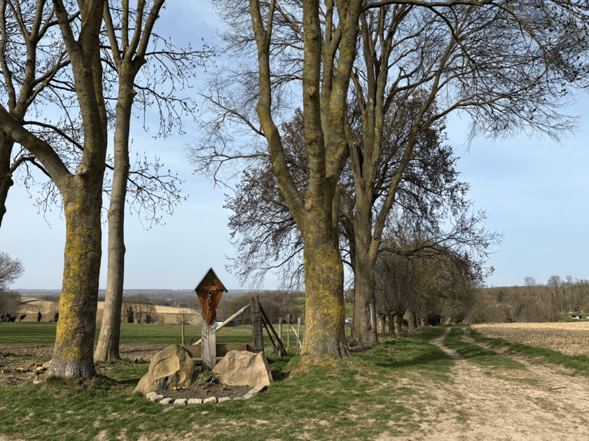 afbeelding binnen de regeling