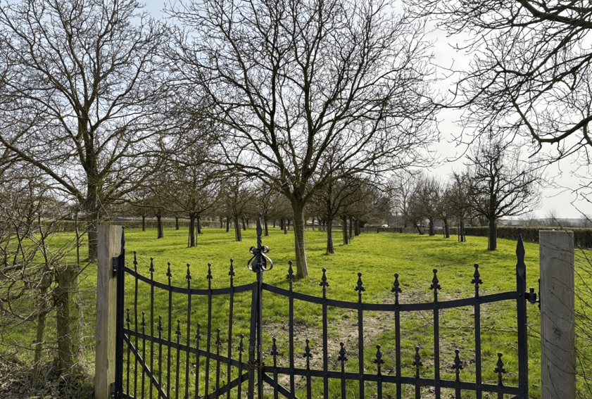 afbeelding binnen de regeling