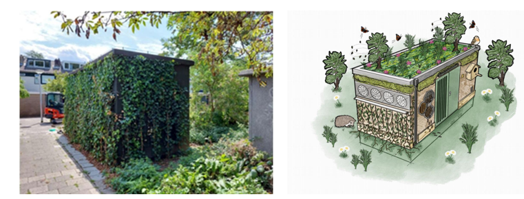 afbeelding binnen de regeling