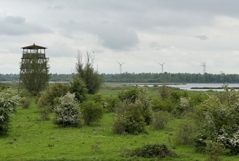 afbeelding binnen de regeling