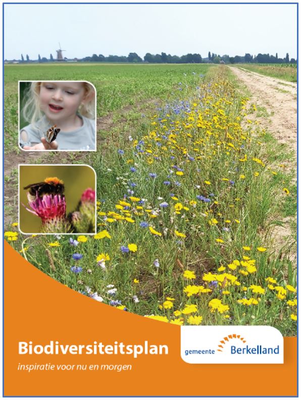 afbeelding binnen de regeling