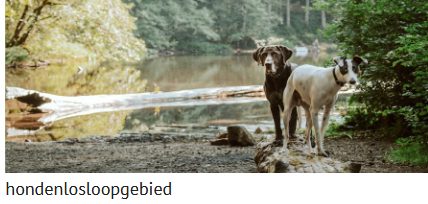 afbeelding binnen de regeling