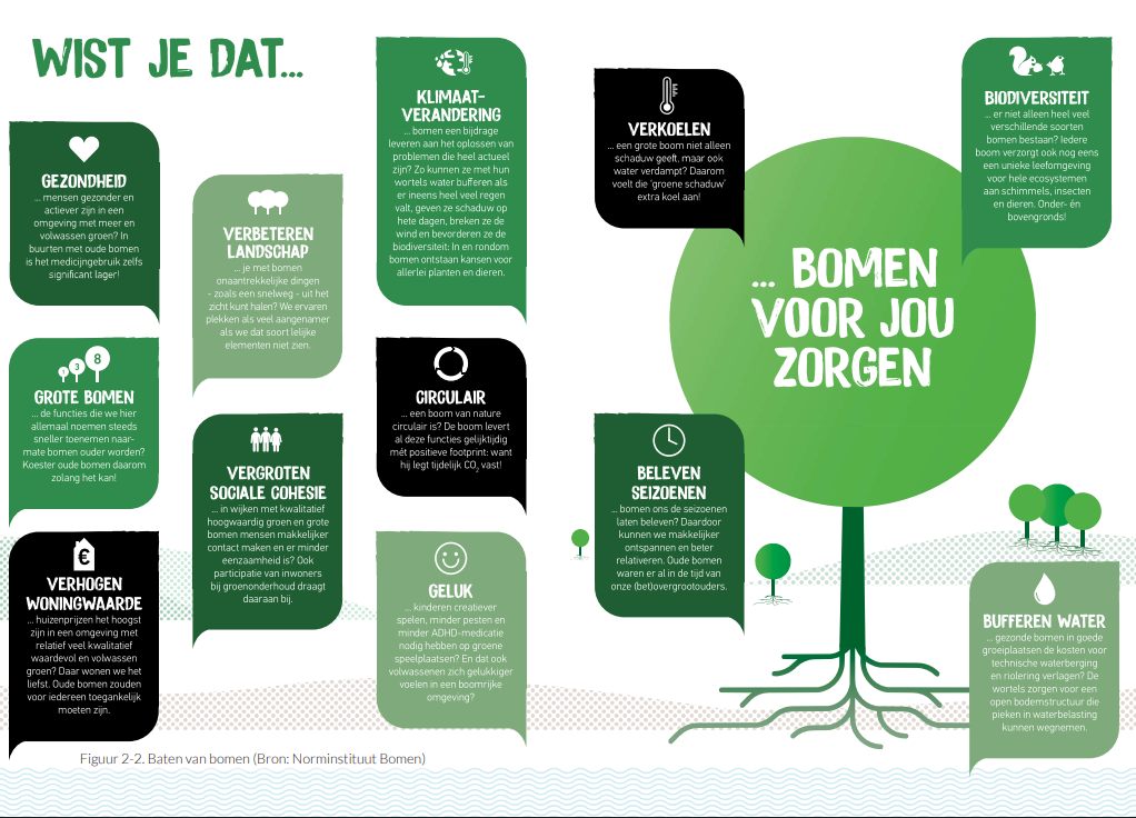 afbeelding binnen de regeling