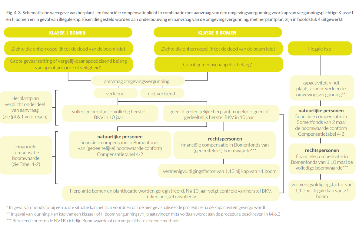 afbeelding binnen de regeling