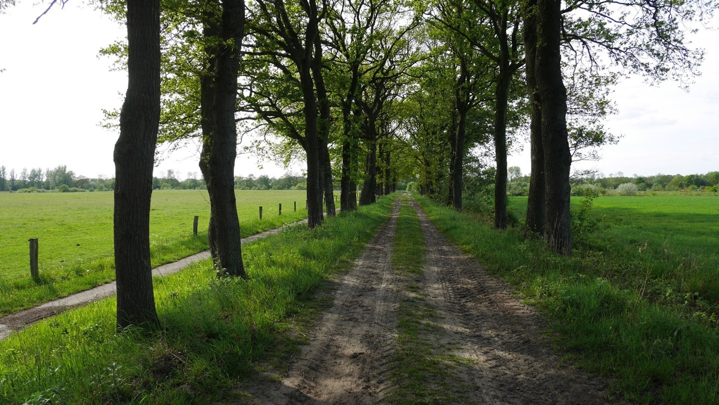 afbeelding binnen de regeling