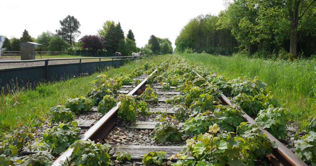 afbeelding binnen de regeling