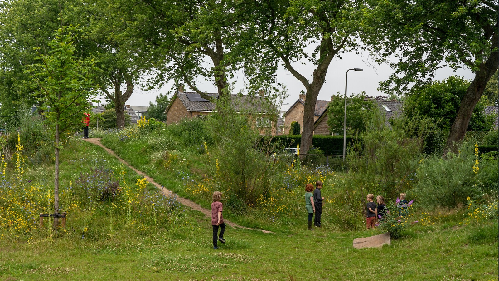 afbeelding binnen de regeling