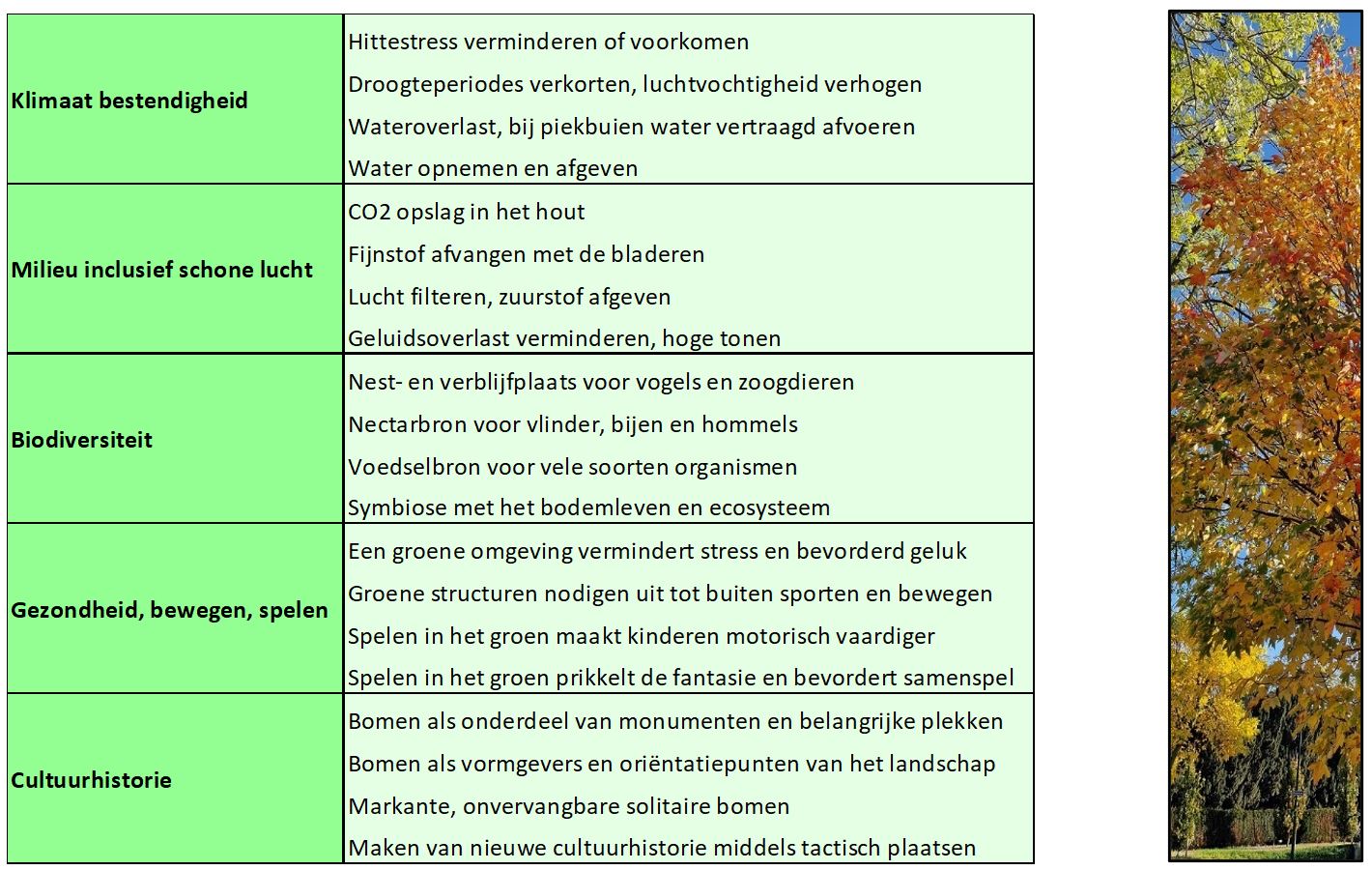 afbeelding binnen de regeling