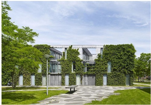 afbeelding binnen de regeling